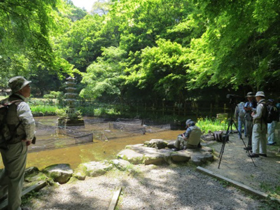 「延命寺で初夏のバードウォッチング！！」レポート