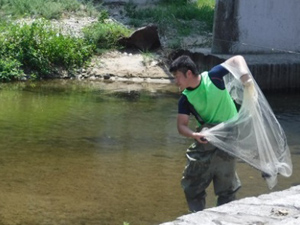 石川で魚取りをしよう！第一回目