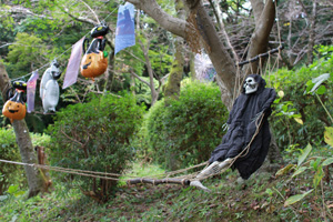 ハロウィンパーティ in 長野公園