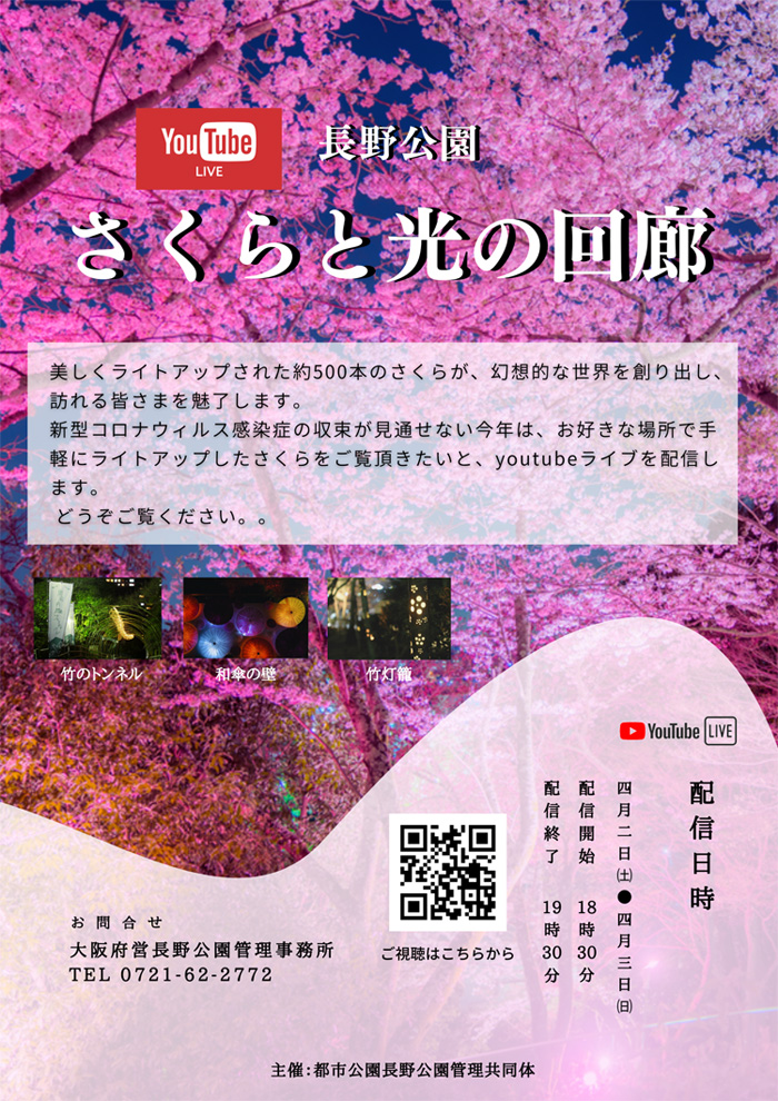 長野公園さくらと光の回廊　Youtubeライブ配信
