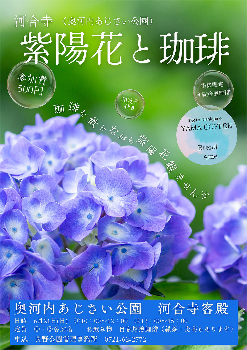 河合寺（奥河内あじさい公園）紫陽花と珈琲チラシ