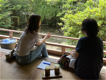 河合寺の客殿から紫陽花園を眺める二人