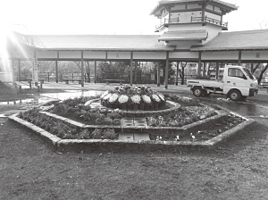長野公園最新情報