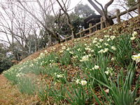 長野公園新聞冬号 長野公園新聞冬号