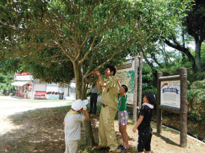 公園観察ガイド（参加費無料）