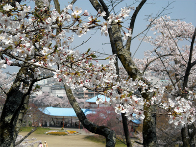 長野公園新聞 春号 2014