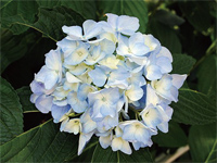 長野公園新聞 2014夏号 長野公園新聞 2014夏号