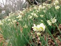 長野公園新聞 2014冬号