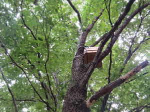 長野公園新聞 2014冬号