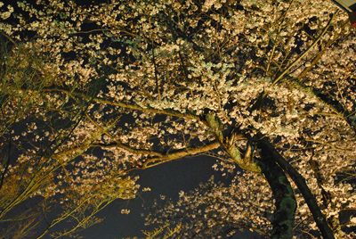 長野公園新聞 2015春号（長野公園新聞記事内容ご紹介）