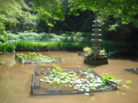 長野公園新聞 2015秋号（長野公園新聞記事内容ご紹介）