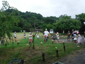 長野公園新聞 2016秋号 長野公園新聞 2016秋号