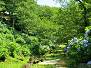 長野公園新聞 2017夏号