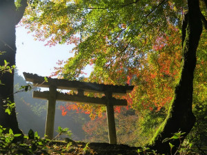 長野公園新聞 2017秋号