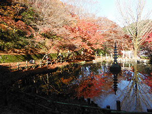 奥河内もみじ公園(延命寺地区)で珈琲を販売します!