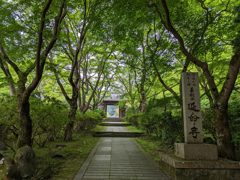 延命寺蓮池の～千重紅～