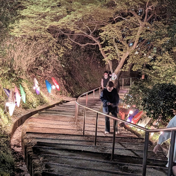 ⻑野遊園の夜桜イメージ