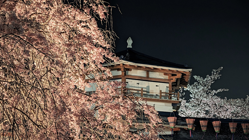 長野遊園の夜桜イメージ