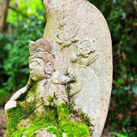 延命寺地区の苔