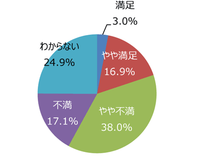 円グラフ「高齢者や障がい者など、誰もが使いやすい公園だと思いますか」：満足3.0%、やや満足16.9%、やや不満38.0%、不満17.1%、わからない24.9%