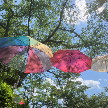 アンブレラスカイ（6月 長野あじさい公園）