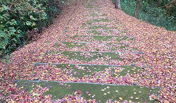 遊歩道