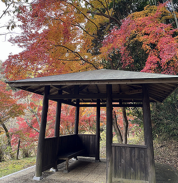 河合寺の東屋