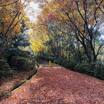 天野山北広場入り口