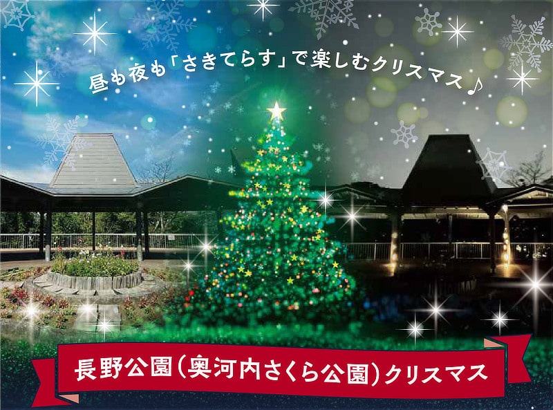 昼も夜も「さきてらす」で楽しむクリスマス♪ 長野公園(奥河内さくら公園)クリスマス