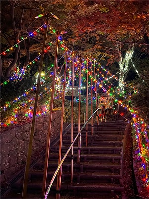 イルミネーション