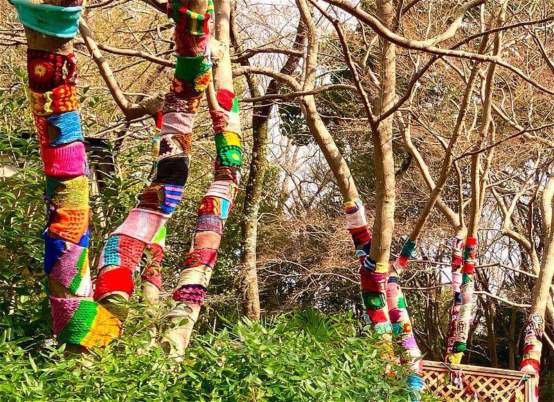 ヤーンボミング