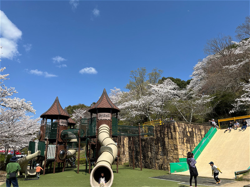 奥河内さくら公園の桜