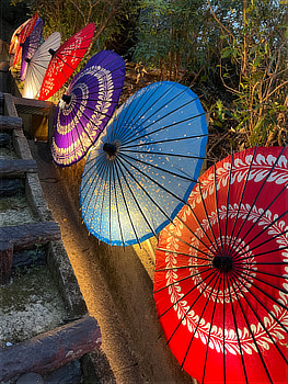 奥河内さくら公園の和傘のライトアップ