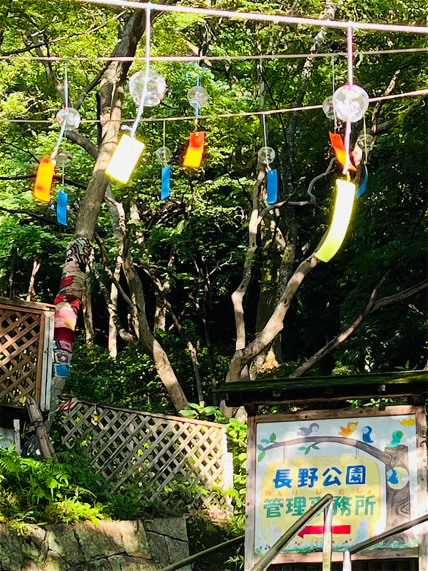 以前の風鈴まつりの様子