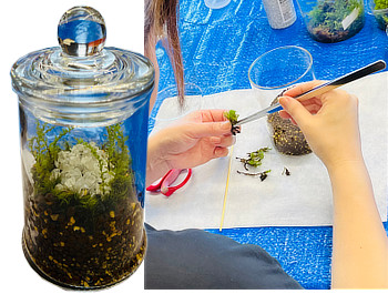苔テラリウム完成品と制作イメージ