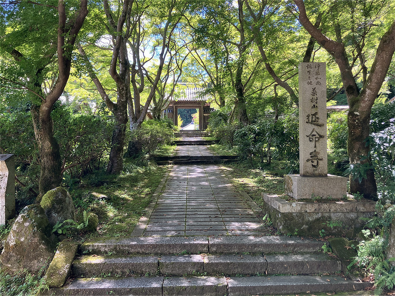 新緑に囲まれた石畳の参道と奥に見える延命寺の山門