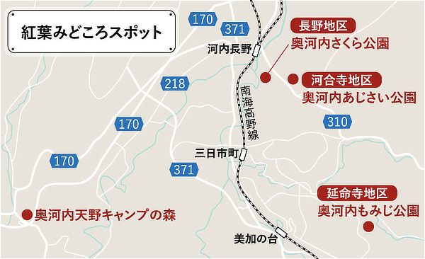 紅葉みどころスポットマップ(奥河内さくら公園、奥河内あじさい公園、奥河内天野キャンプの森、奥河内もみじ公園)