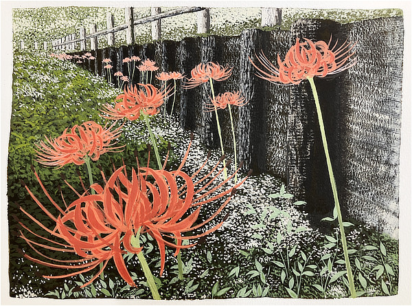 延命寺 蓮池の彼岸花のイラスト