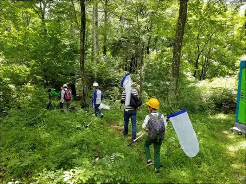 いきものさがしハイキング