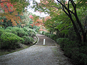 長野公園 紅葉情報:延命寺地区「奥河内もみじ公園」