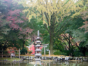 長野公園 紅葉情報:延命寺地区「奥河内もみじ公園」