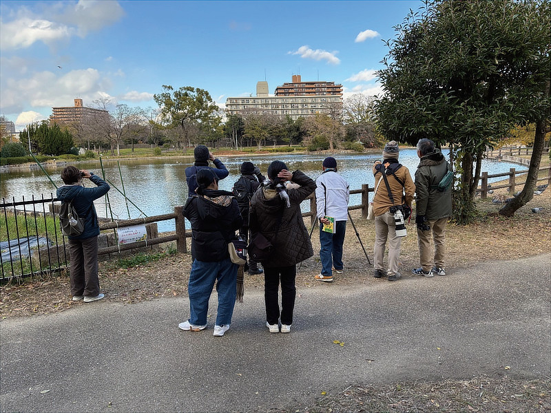 バ－ドウォッチングの様子