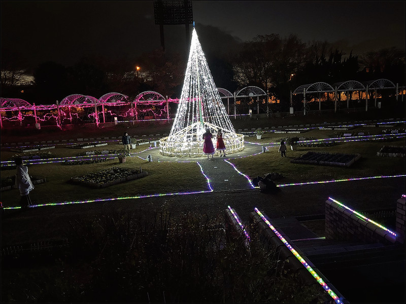 ウインターイルミネーションイメージ