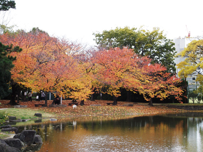 まちの公園新聞 2014秋号（まちの公園新聞記事内容ご紹介）