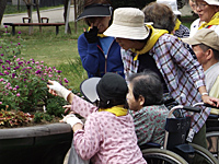 住之江・住吉公園 ヒーリングガーデナークラブ(HGC)活動報告 住之江・住吉公園 ヒーリングガーデナークラブ(HGC)活動報告