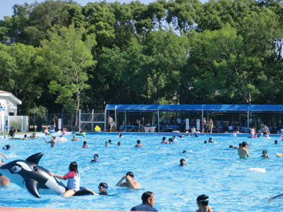 まちの公園新聞 2015年夏号（まちの公園新聞記事内容ご紹介）