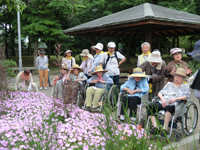 まちの公園新聞 2015年夏号