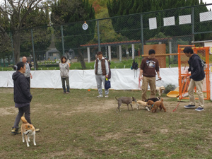 まちの公園新聞 2017 冬号