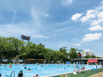 まちの公園新聞リニューアル　住之江公園　2017なつ