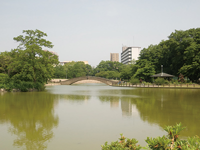 「太鼓橋」の改修とお化粧直しが完了しました。